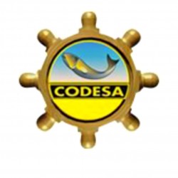 Codesa in vendita Online